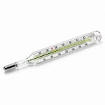 Clinical Thermometer